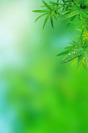 Аппликатор Кузнецова: как применять